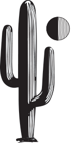 Engraved Saguaro Moon Cocktail Glass - Set of 12 Glasses - Special Order