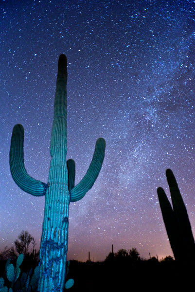 Stargazers' Graphic Tee for Tucson's Astro Trail